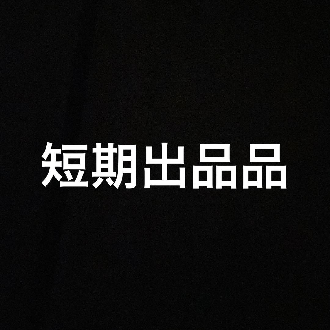 283系オーシャンアロー　マイクロエース。