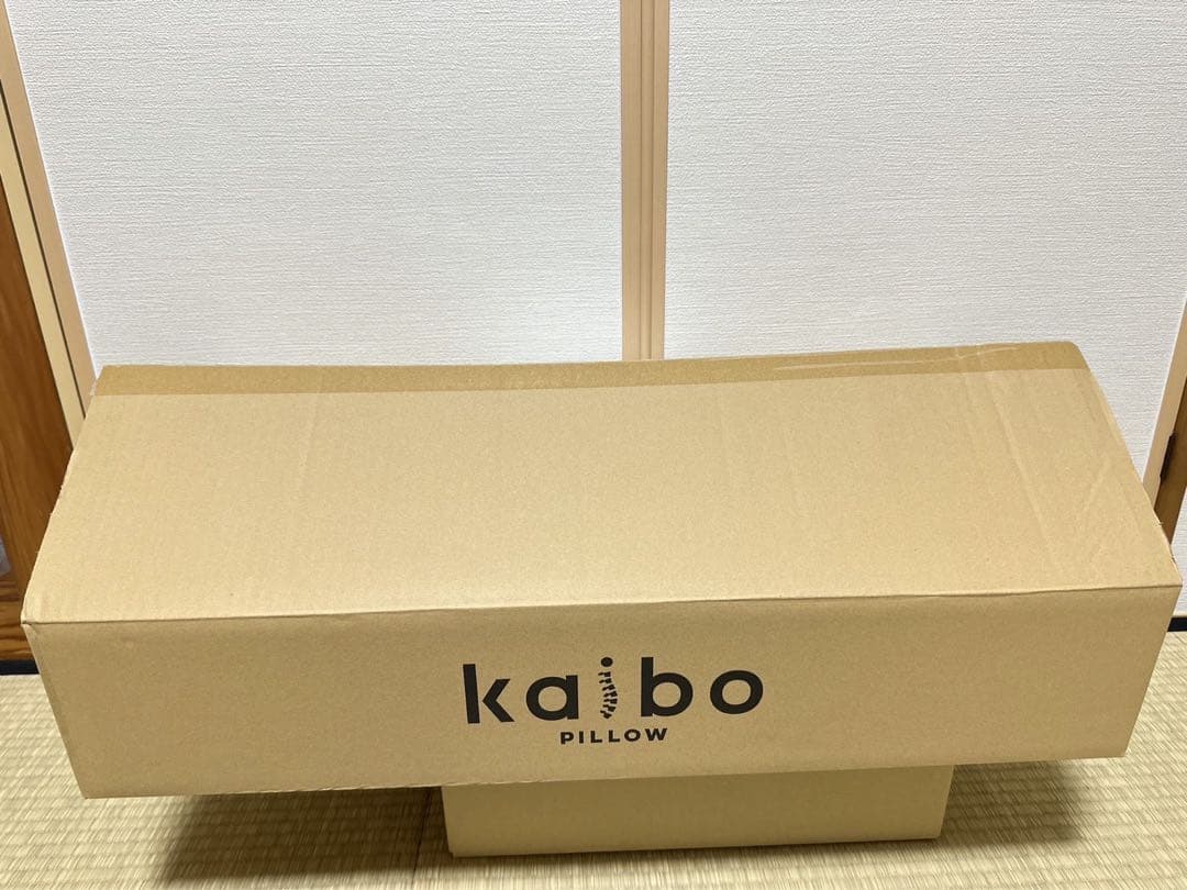 Ｆ★【新品未使用】 kaibo 整体枕