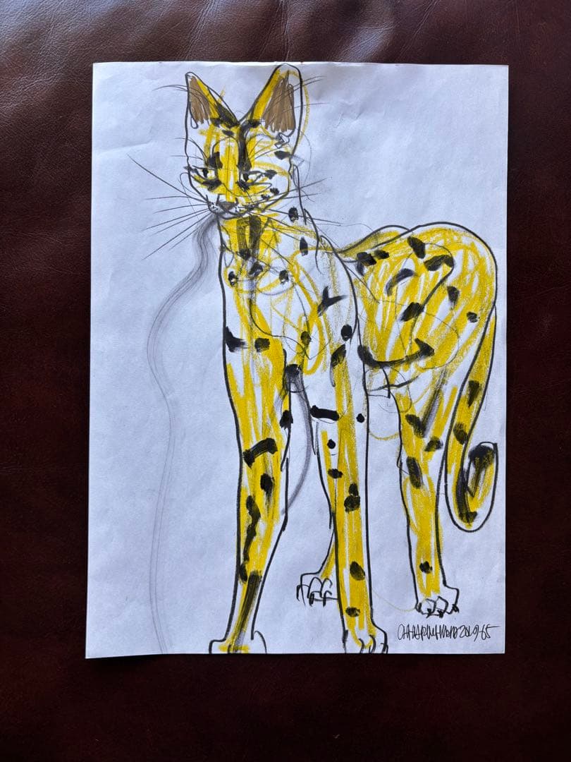 木原千春さんドローイング20点