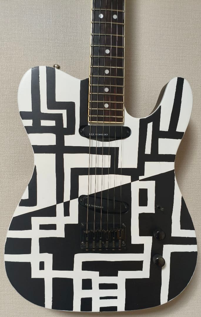 FERNANDES　TEJ70改　G柄　BLACK&WHITE　EMG-SAｘ2