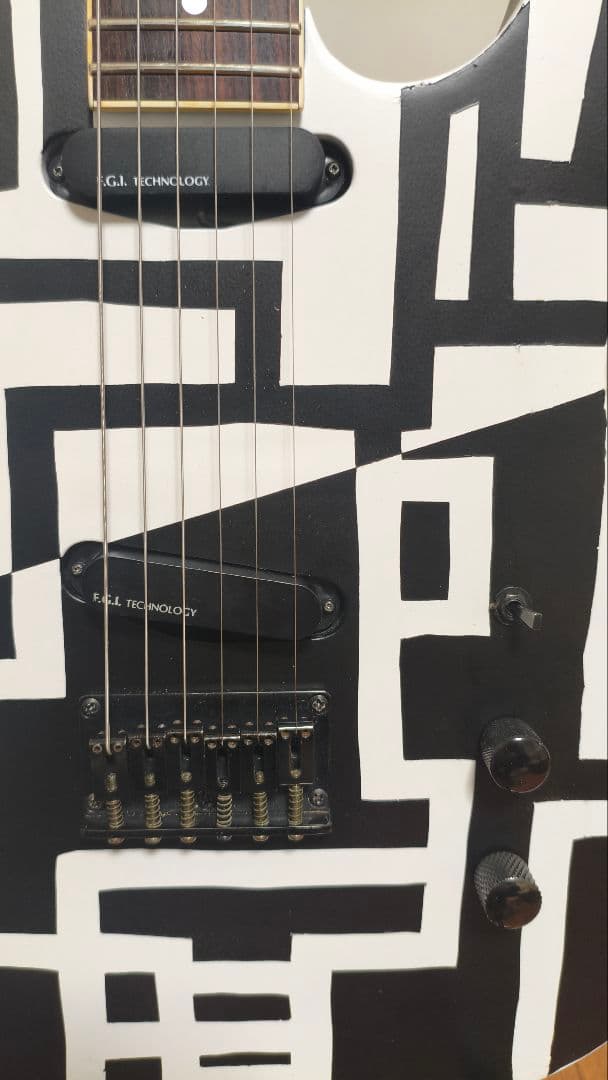 FERNANDES　TEJ70改　G柄　BLACK&WHITE　EMG-SAｘ2