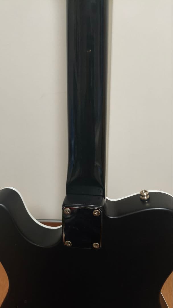 FERNANDES　TEJ70改　G柄　BLACK&WHITE　EMG-SAｘ2