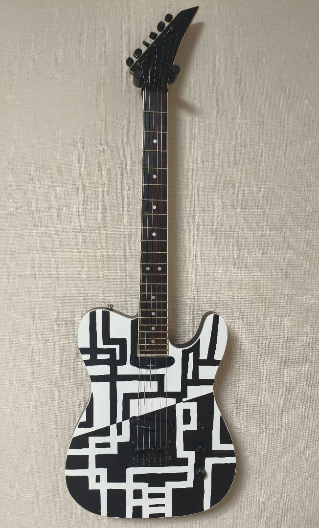 FERNANDES　TEJ70改　G柄　BLACK&WHITE　EMG-SAｘ2