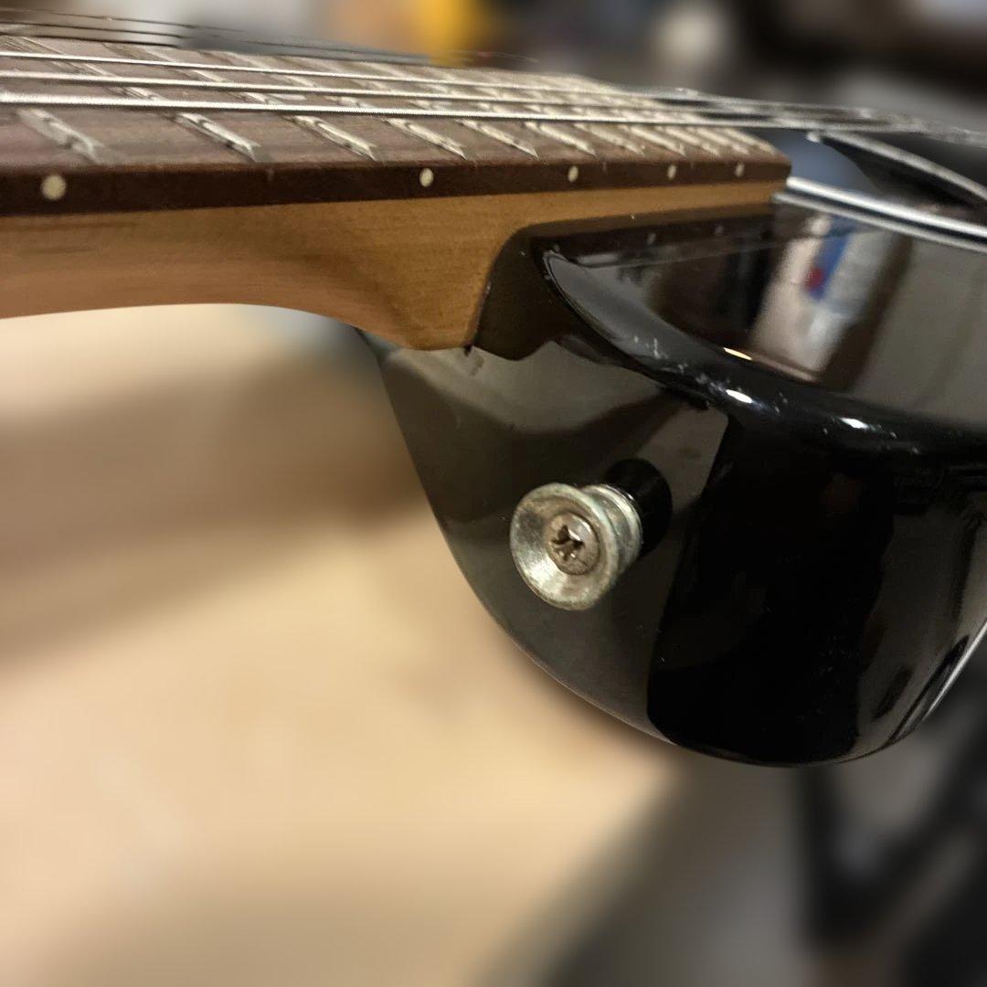 ピグノーズPGG200 黒