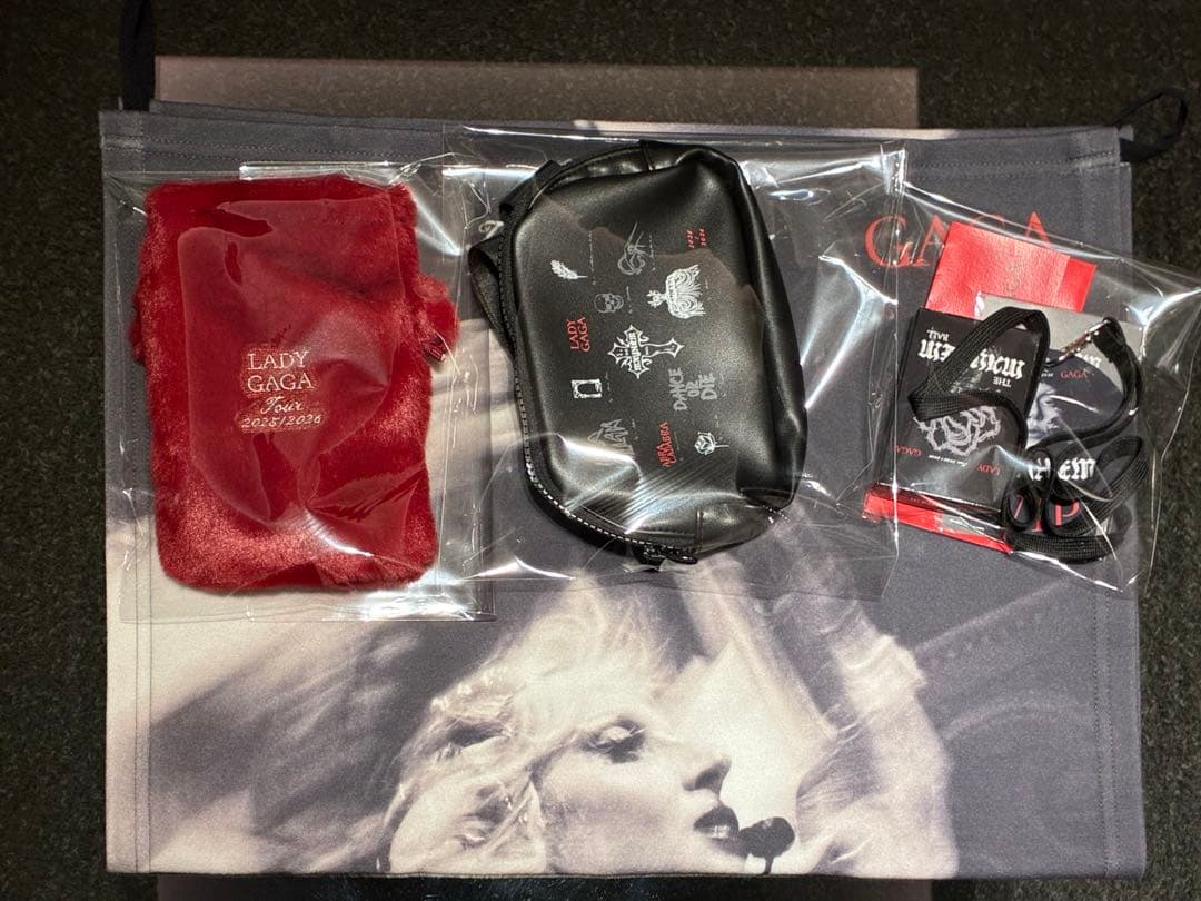 Lady Gaga VIP GOLDグッズセット