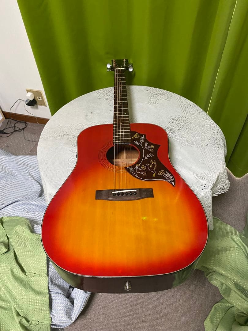 新春特価カントリーしようぜ！ ハミングバードHOTTAエレアコ音出し良好！