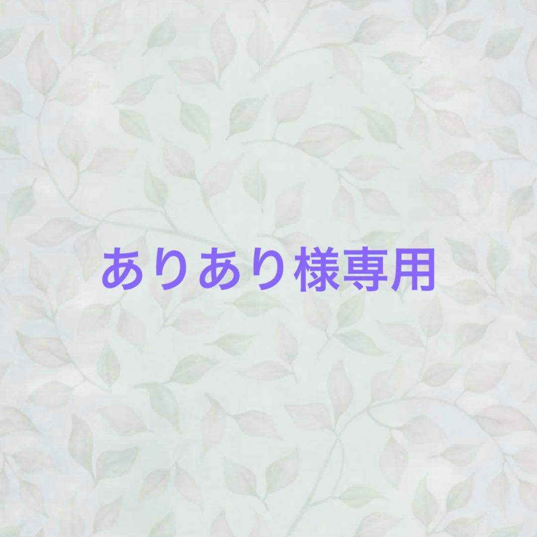 ありあり　11点