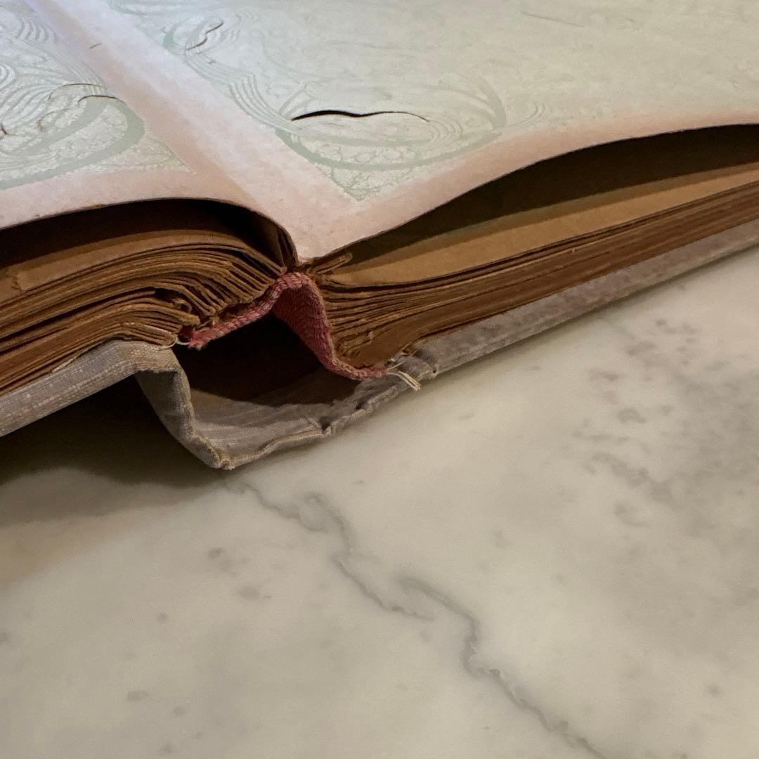 フランス　アンティーク　ポストカード　アルバム　CARTES POSTALES