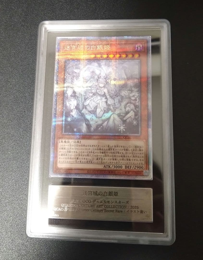 【ARS10＋】迷宮城の白銀姫　25thシク　クオシク