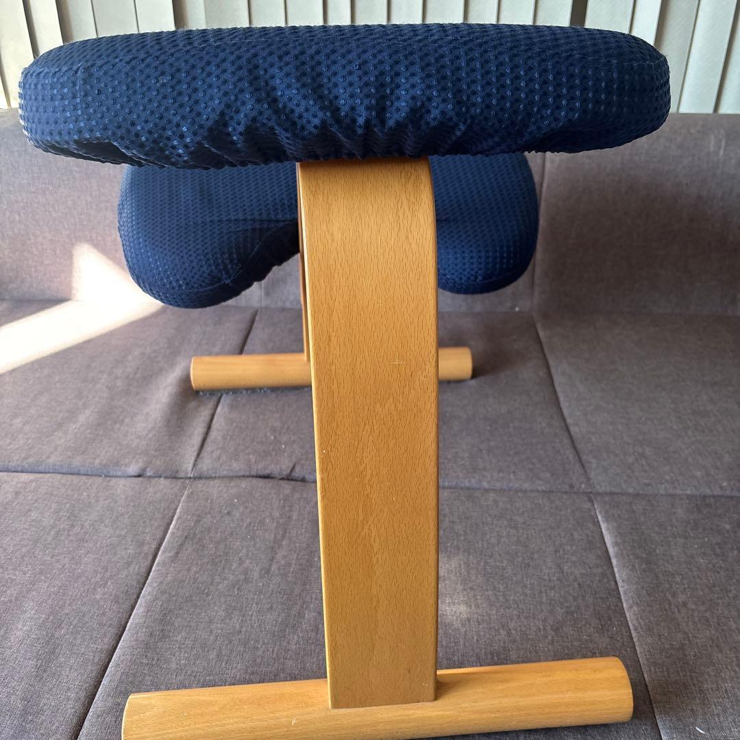 Rybo リボ社 バランスイージー バランスチェア ネイビー 姿勢改善