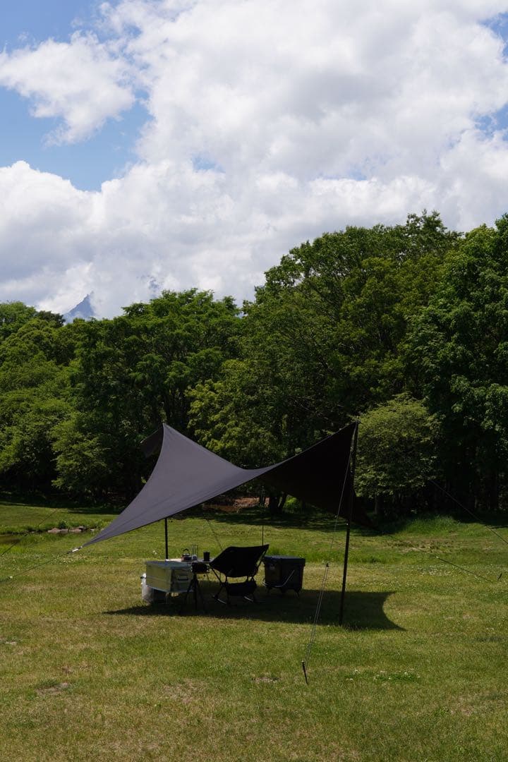 telo looks black タープ