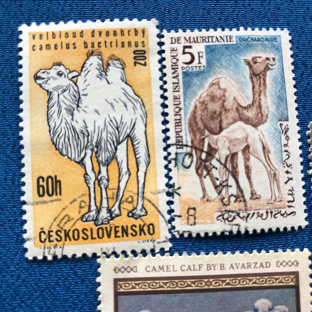 世界の駱駝（ラクダ）図柄の切手１０種　うちモンゴルが４種　癒されます！