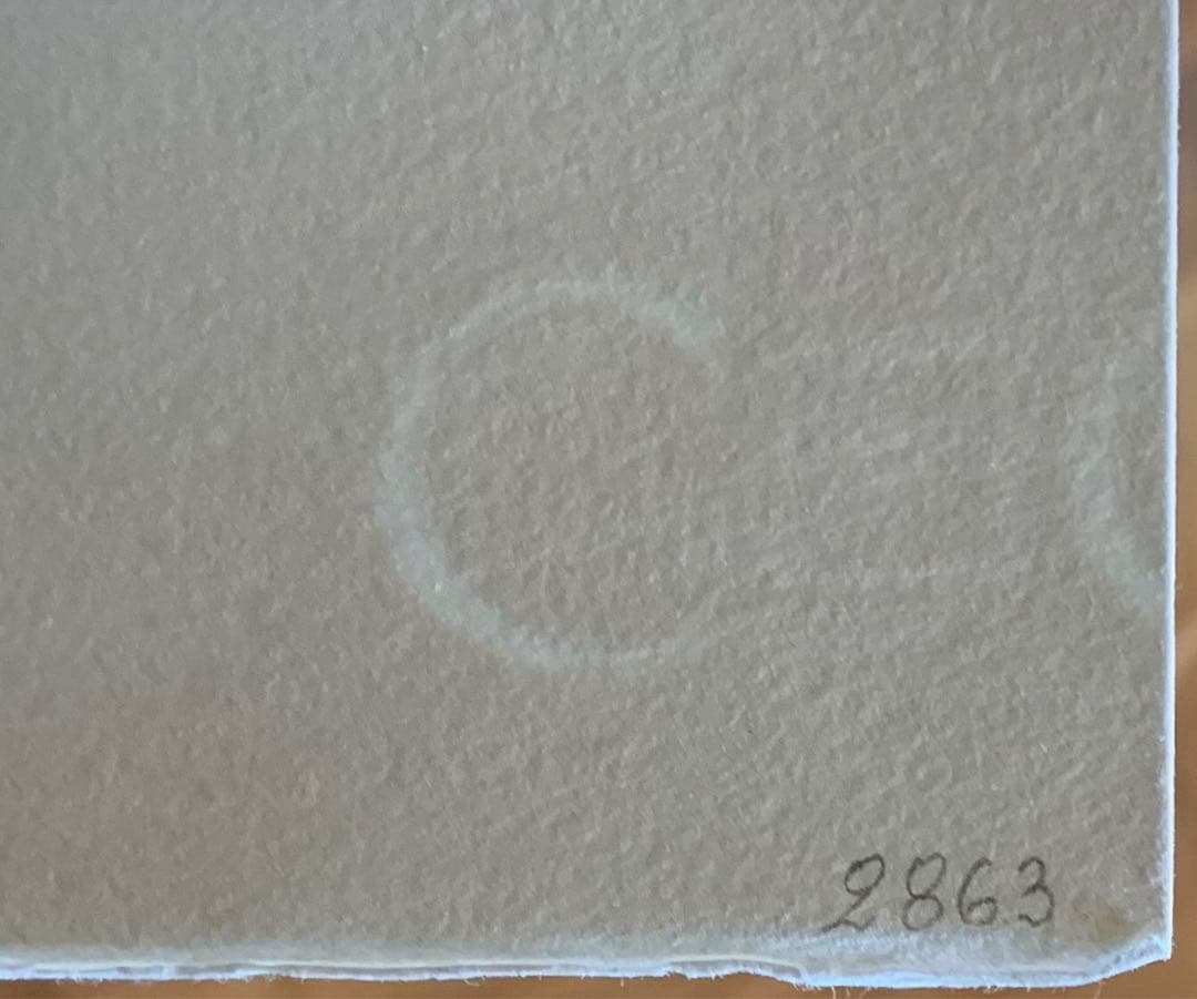 ルーヴル美術館　複製画　Collège des Quatre Nations