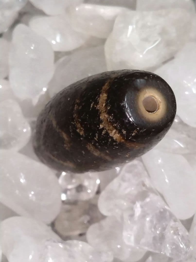 636天珠 金剛三眼天珠 dzibeads！