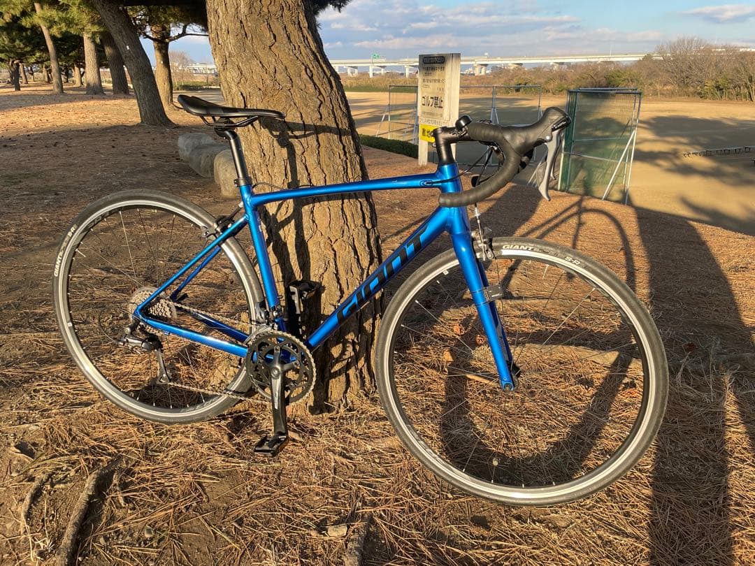 2020年　ジャイアント　コンテンド2 美品　ブルー　Mサイズ　500mm