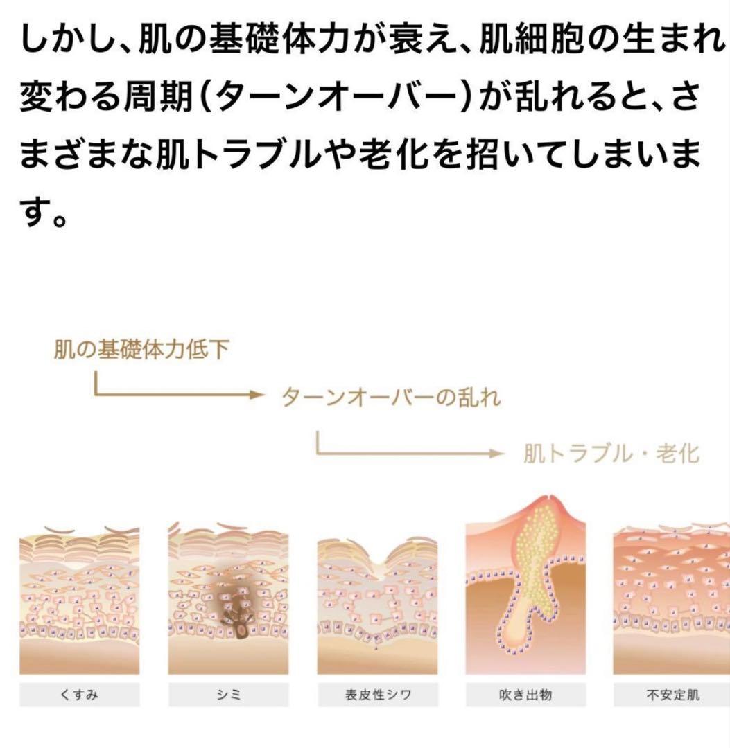 プログラム28＆マキシドールキット【新品】シャンソン化粧品