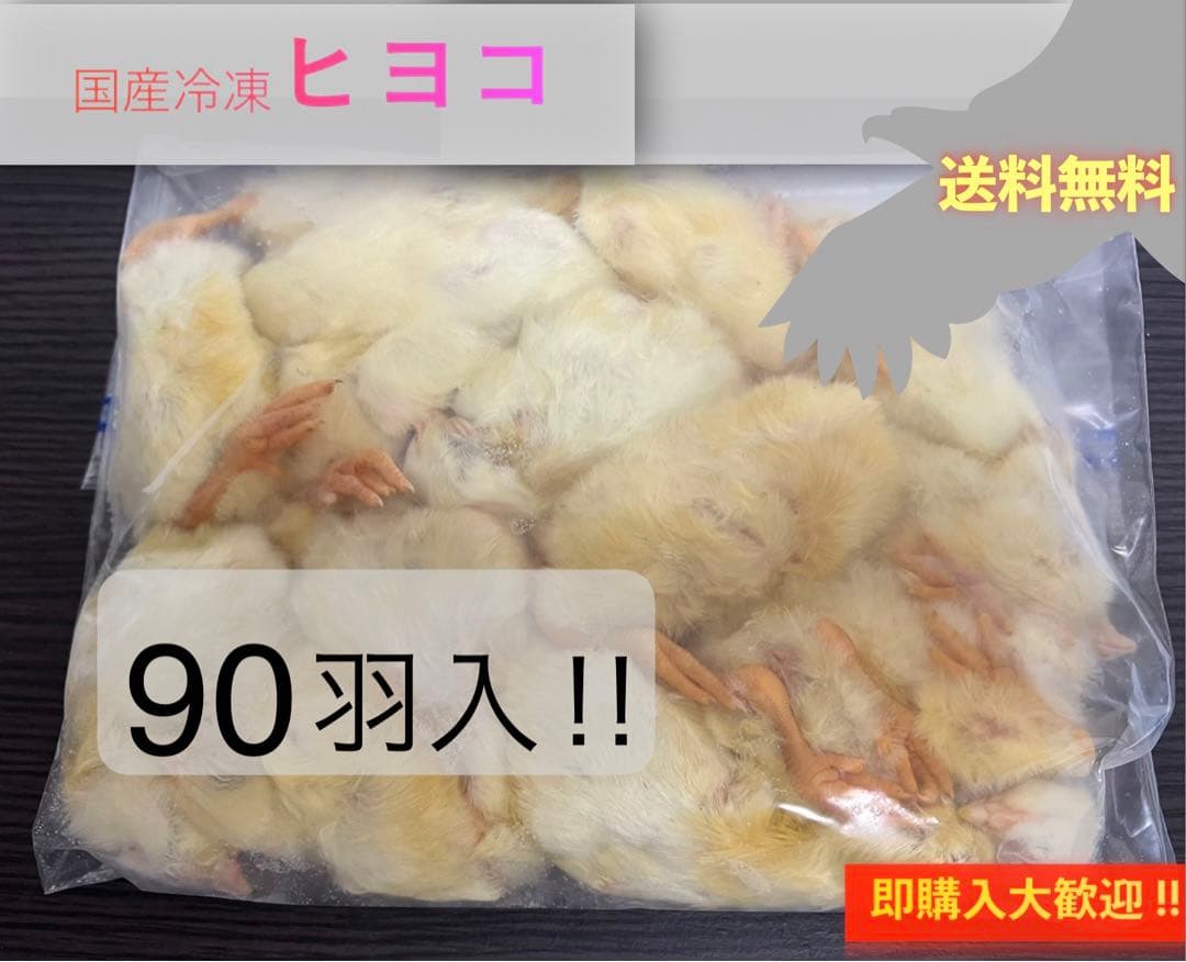 【即購入OK！】国産冷凍ヒヨコ90羽入@地域限定