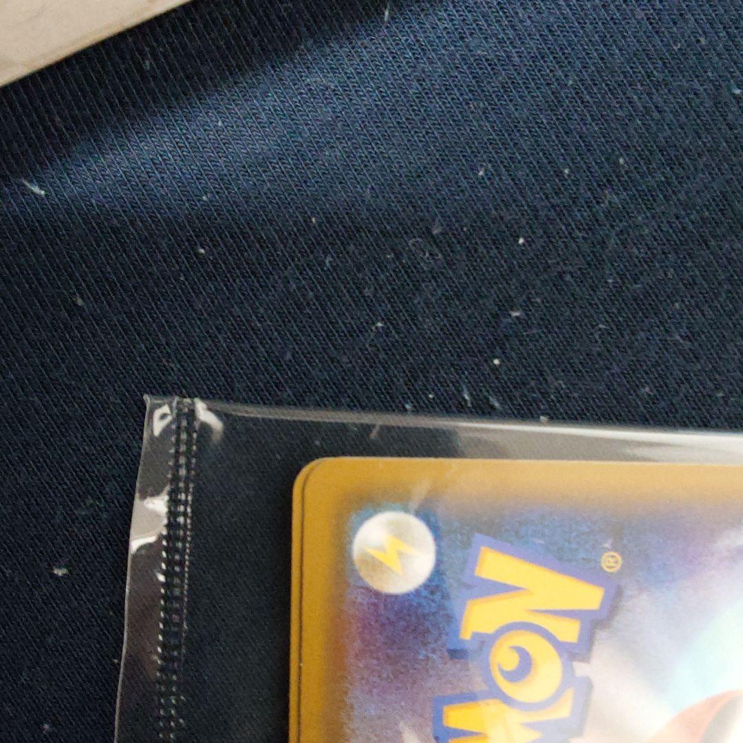 ポケモン切手BOX～ポケモンカードゲーム 見返り美人・月に雁セット～