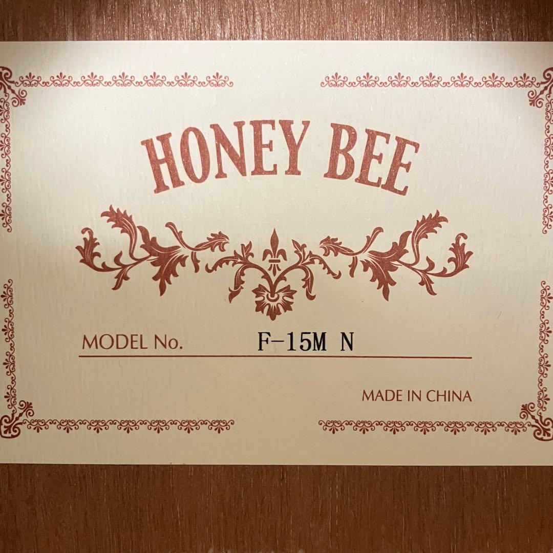 HONEY BEE アコースティックギター　初心者セット　F-15M /N