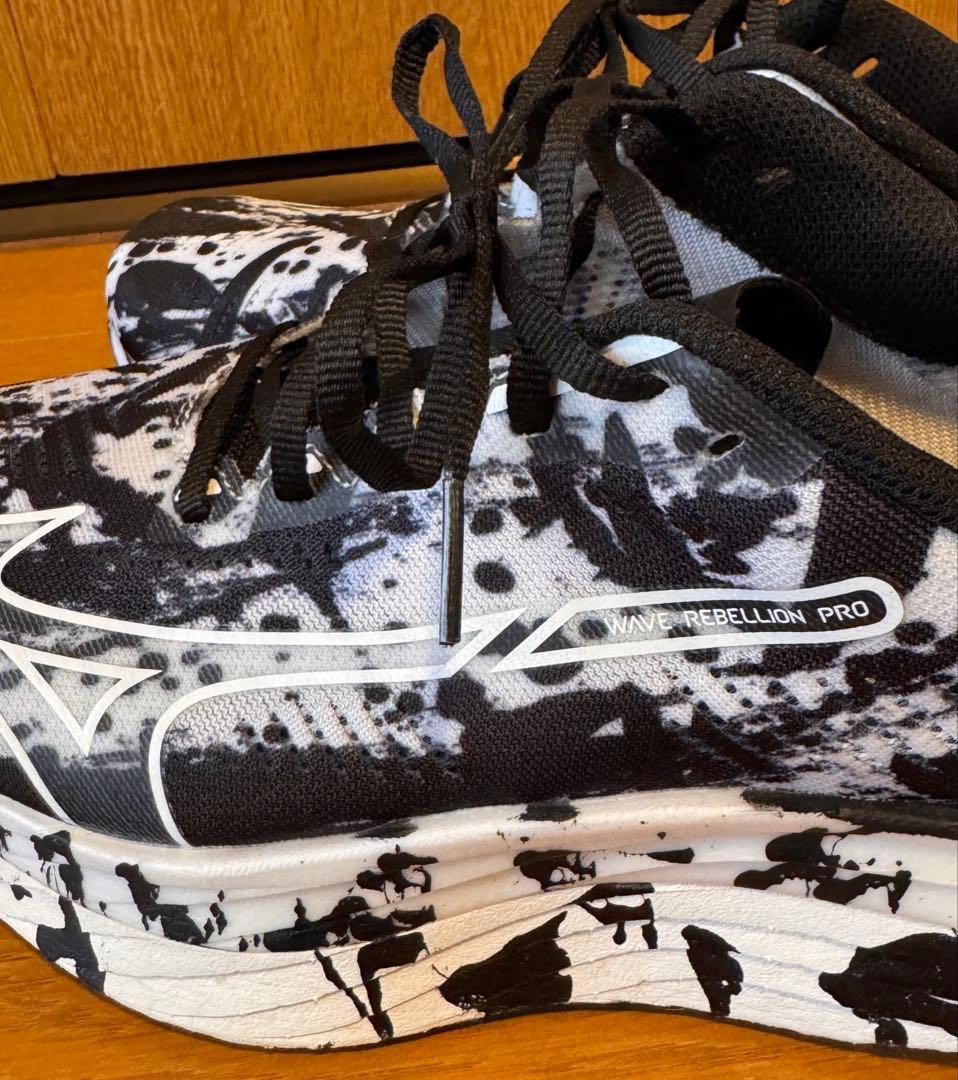 ミズノ ウエーブリベリオンプロ 書き初めカラー