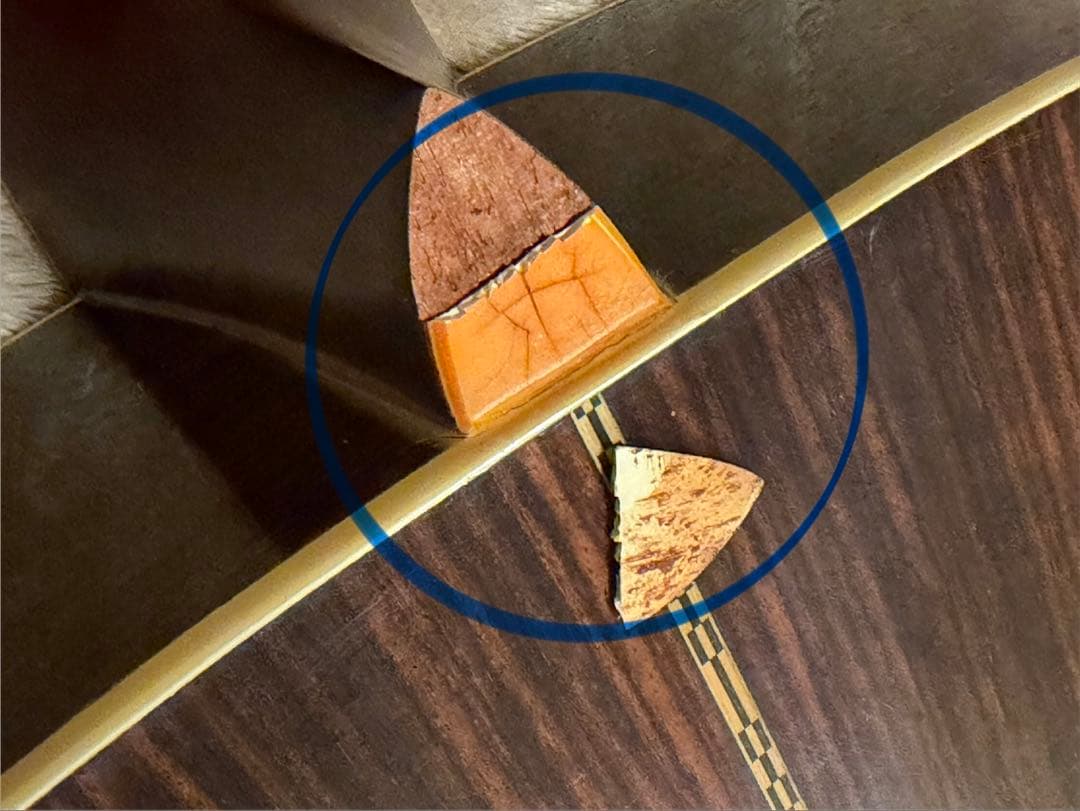 Morris F-20 モーリス アコースティックギター ハードケース付き