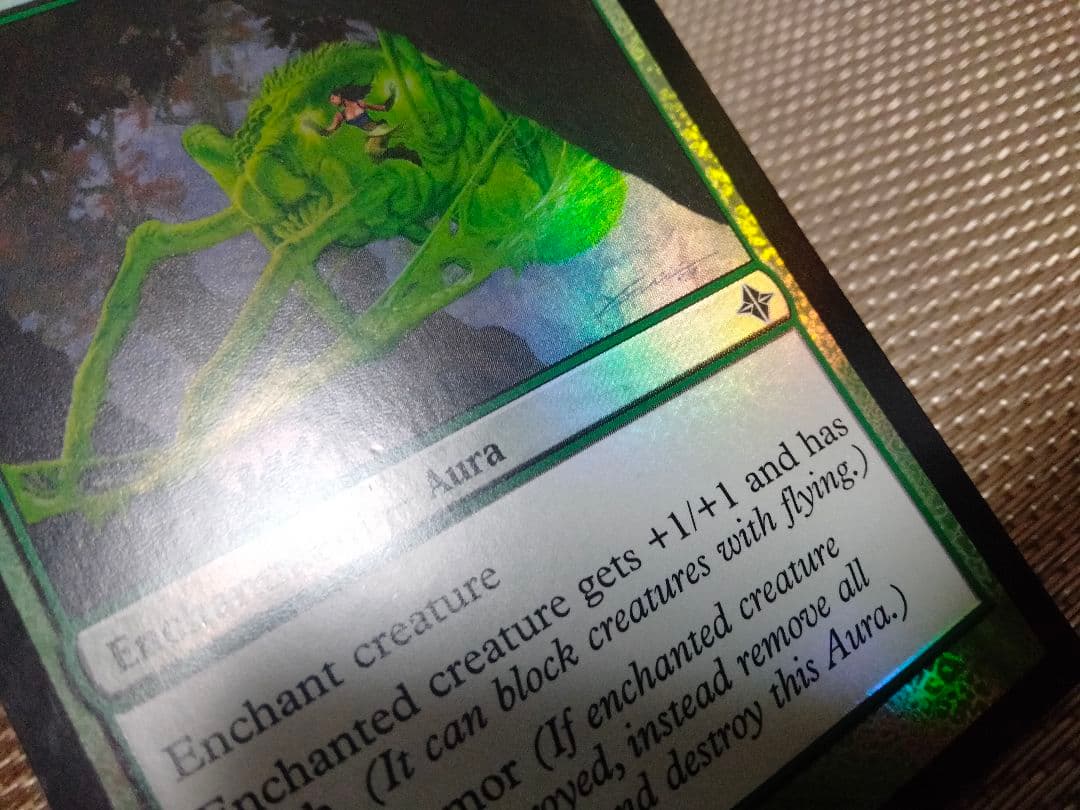 【ご確認用】エルドラージ覚醒 foil 蜘蛛の陰影a 英語 1枚　MTG