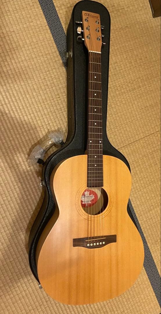 ギター Norman Expedition Nat Folk Solid Spruce