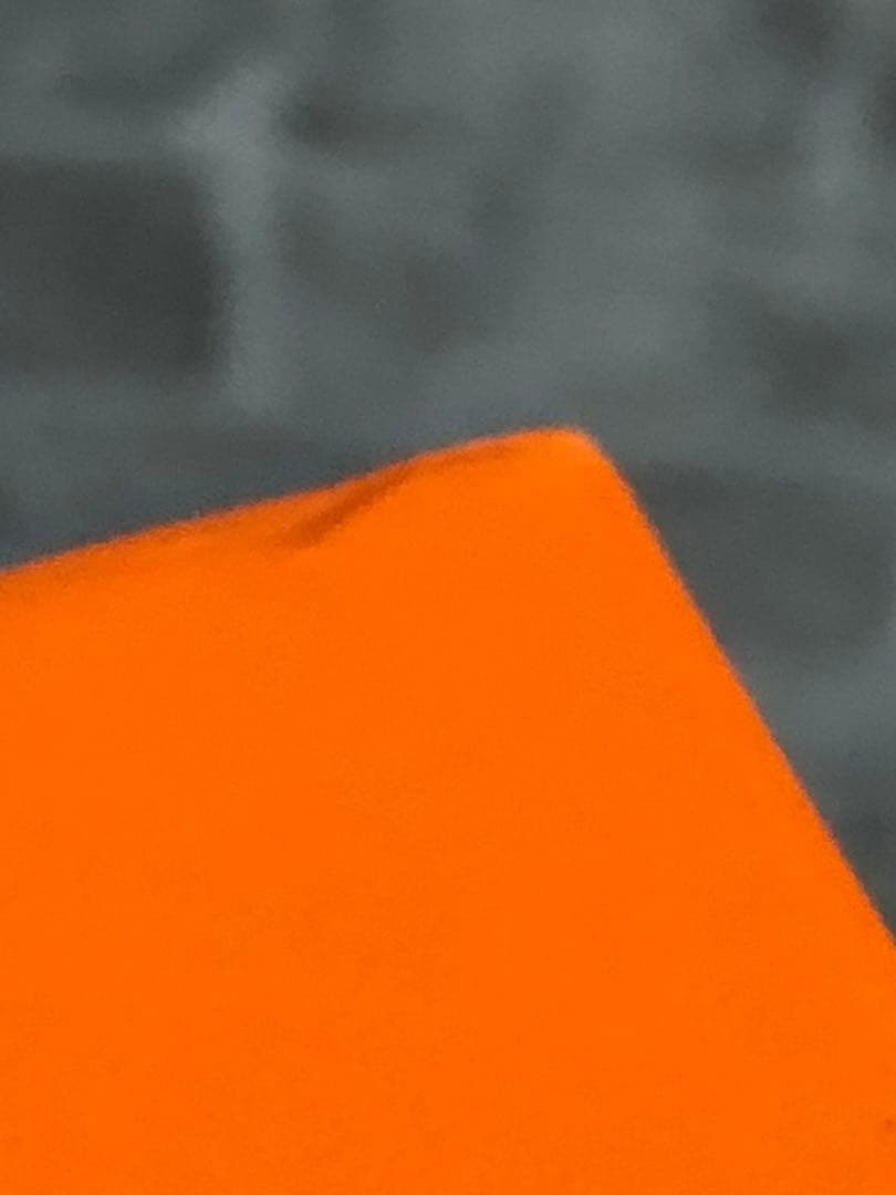 エルメス　シェーヌダンクル　特大ネックレスケース　希少品