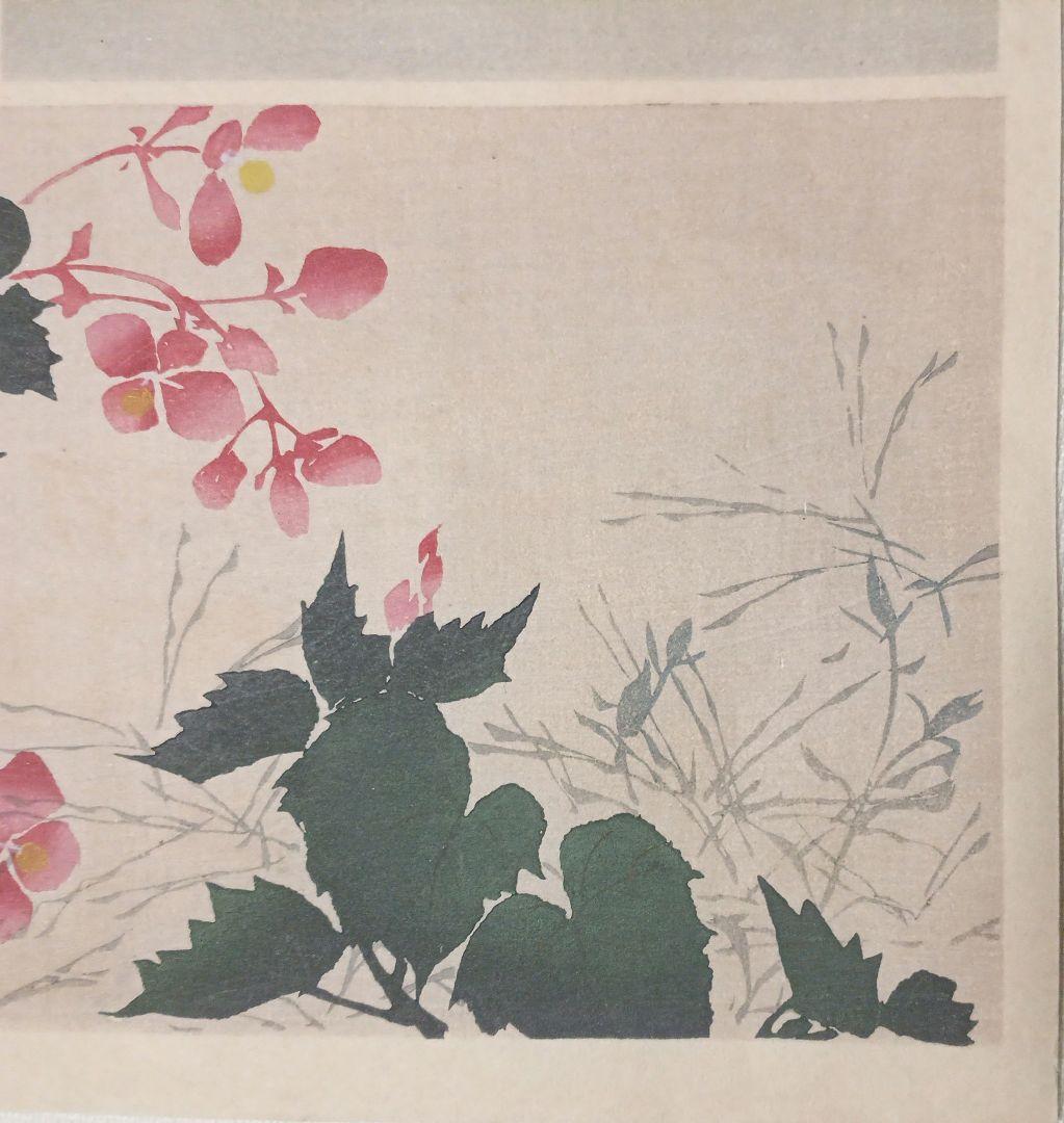 琳派図案版画（色摺版画)、作者不詳、明治後期～昭和初期出版