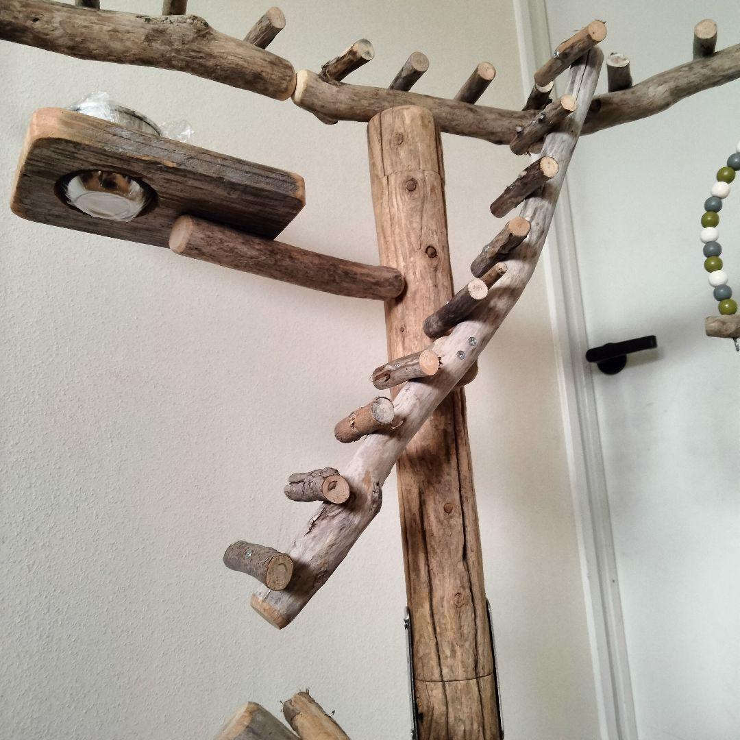 バードアスレチックジム大型 ㊵ 天然木 自然木 流木 止まり木 インコ おもちゃ