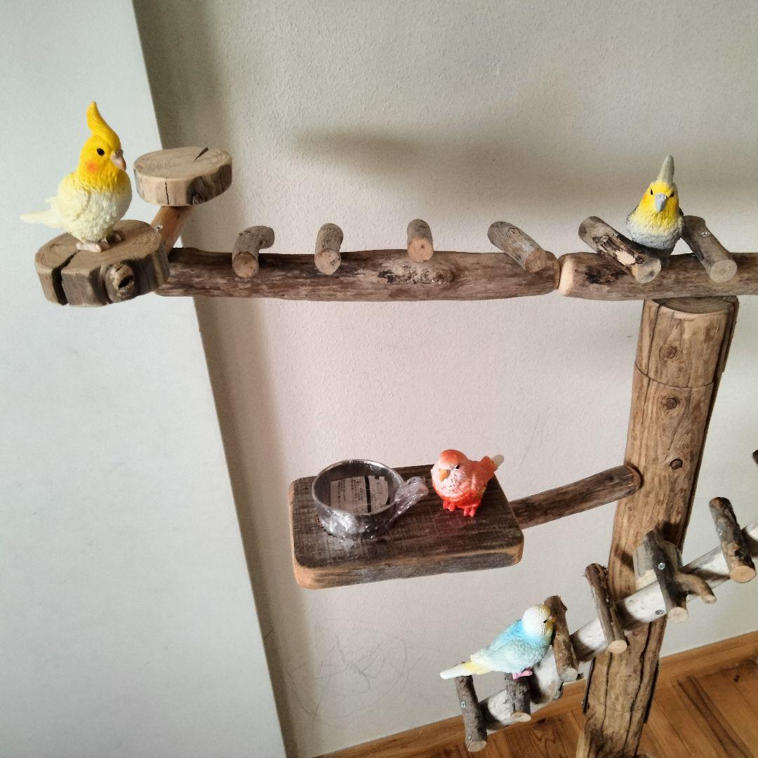 バードアスレチックジム大型 ㊵ 天然木 自然木 流木 止まり木 インコ おもちゃ