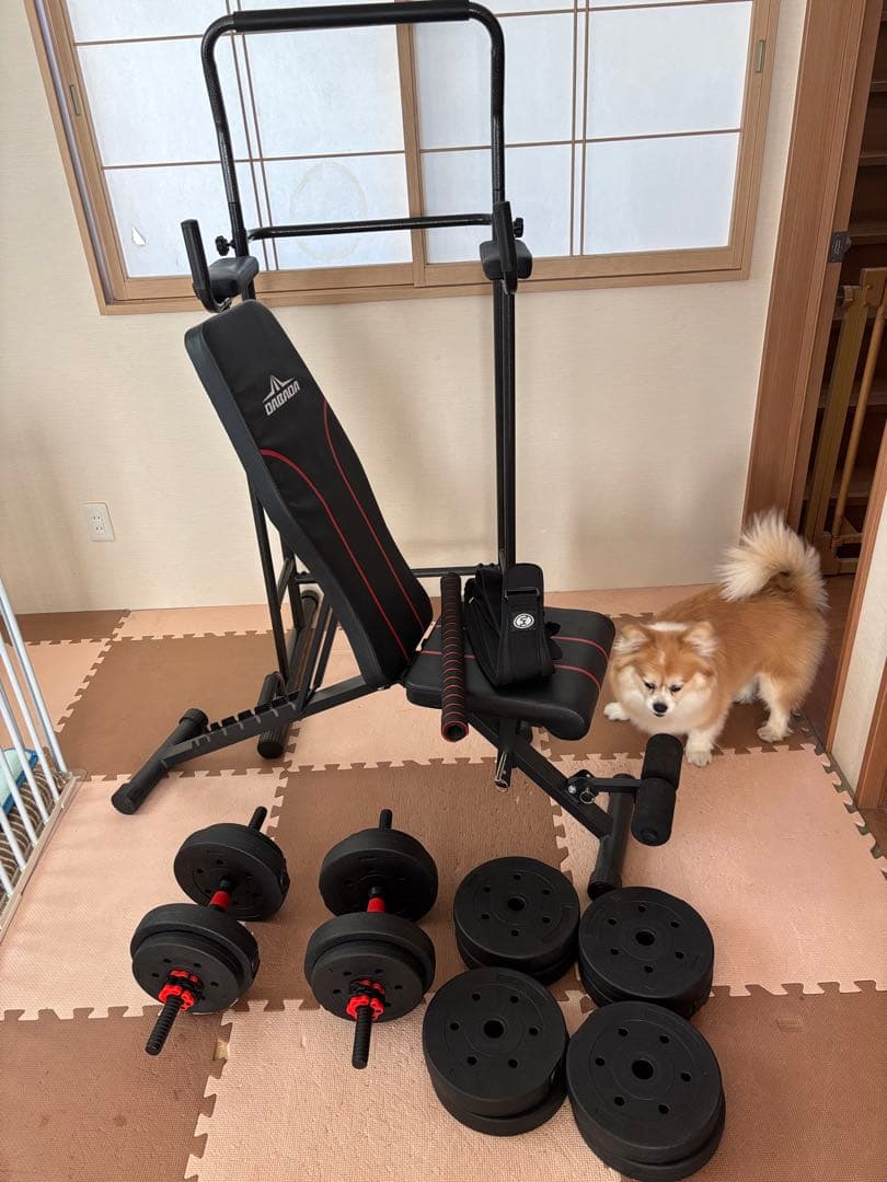 送料込！筋トレセット