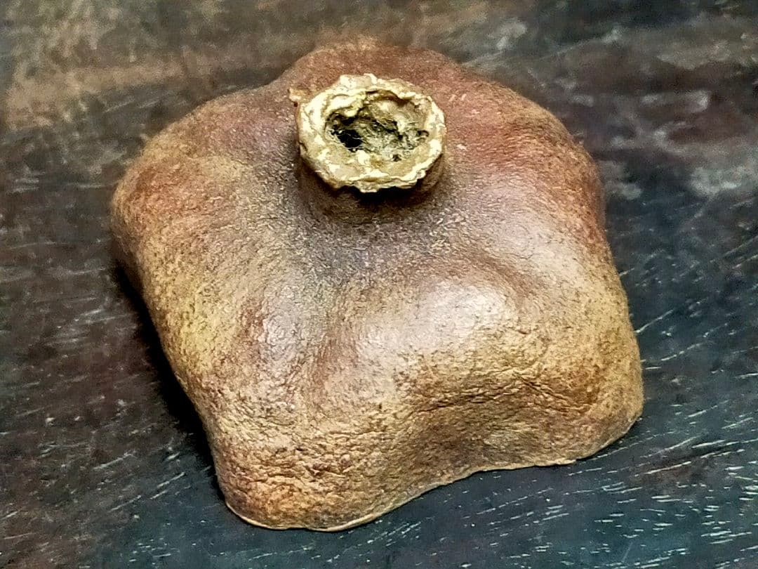 ♥武夫　柘榴　香合　共箱付き　ザクロ　水月窯　荒川豊蔵　骨董　古玩