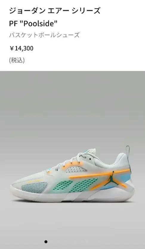 NIKE JORDAN HEIR SERIES PF 新品