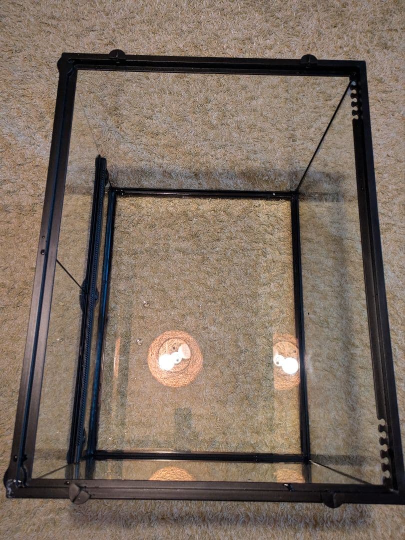 （引取限定）爬虫類ケージセット