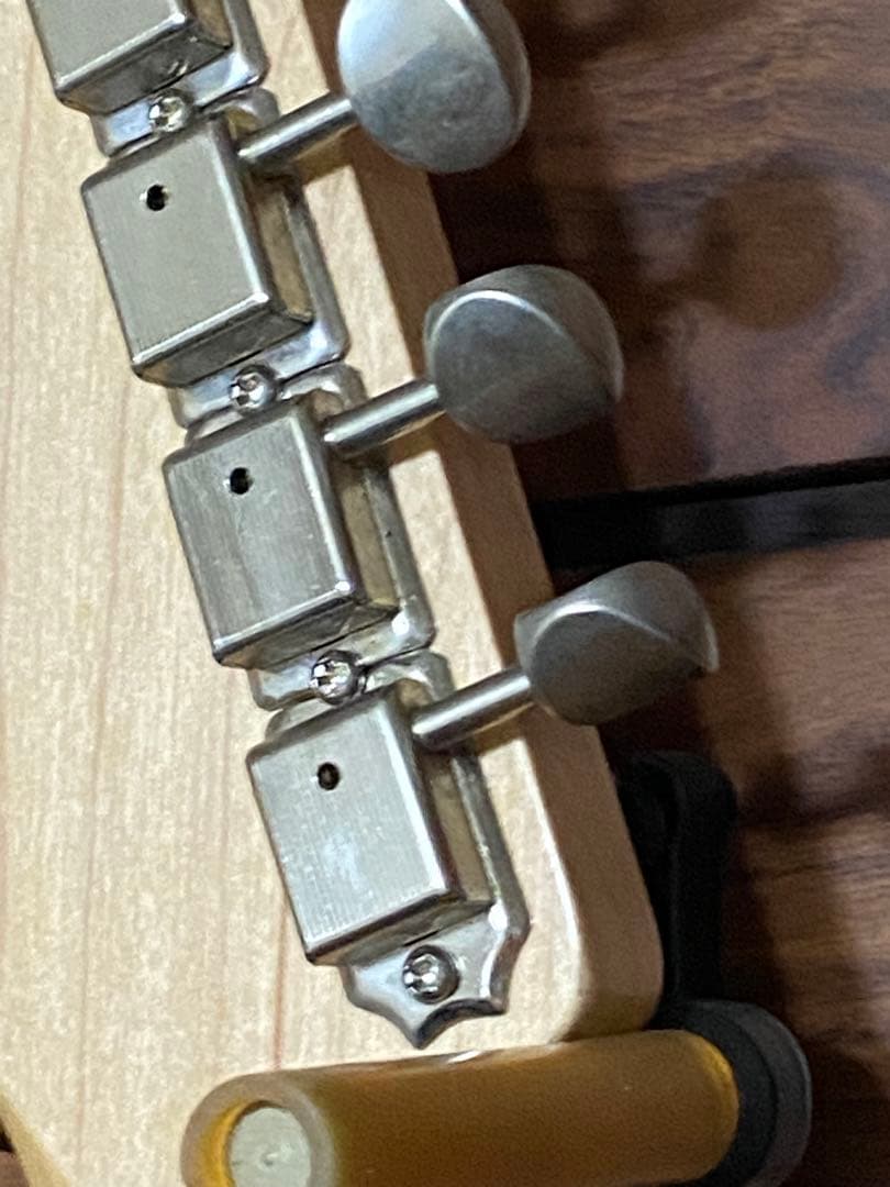 Jazzmaster（B）MJT（N）Warmoth（P）LindyFralin