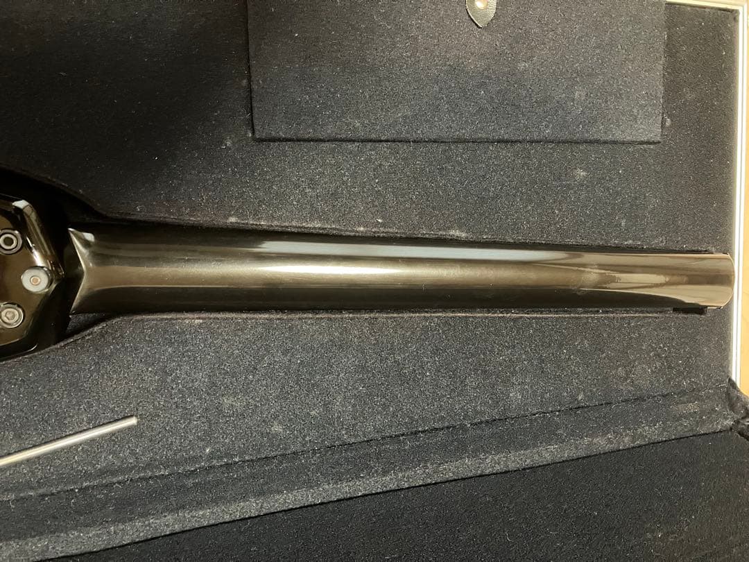 希少！STEINBERGER GP-2S(USA)ハードケース、ソフトケース付き