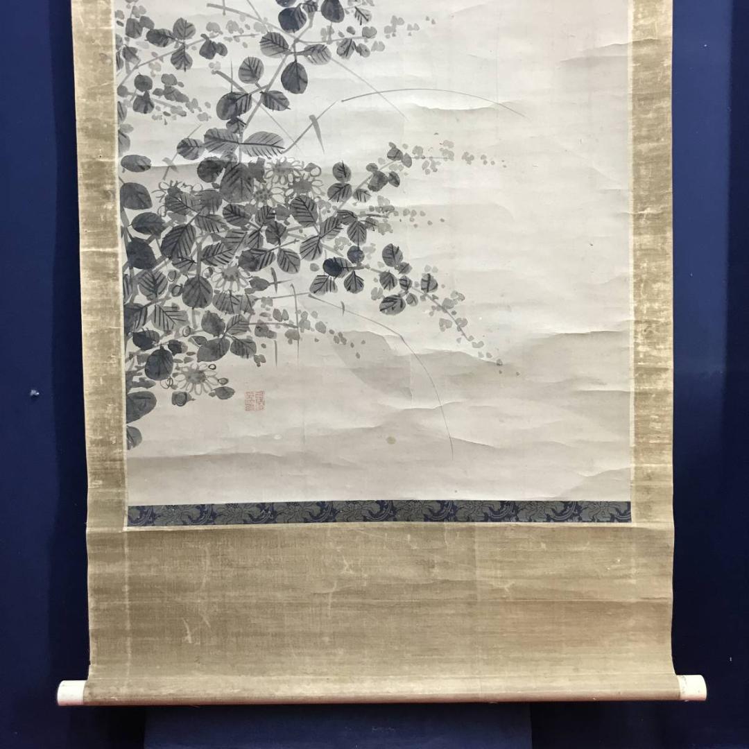 福原五岳/萩花に蝶図/花図/花鳥図/掛軸/名家伝来/AD-102