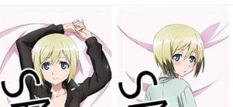 【未開封】ストライクウィッチーズ エーリカ・ハルトマン　ぬくぬく抱き枕カバー