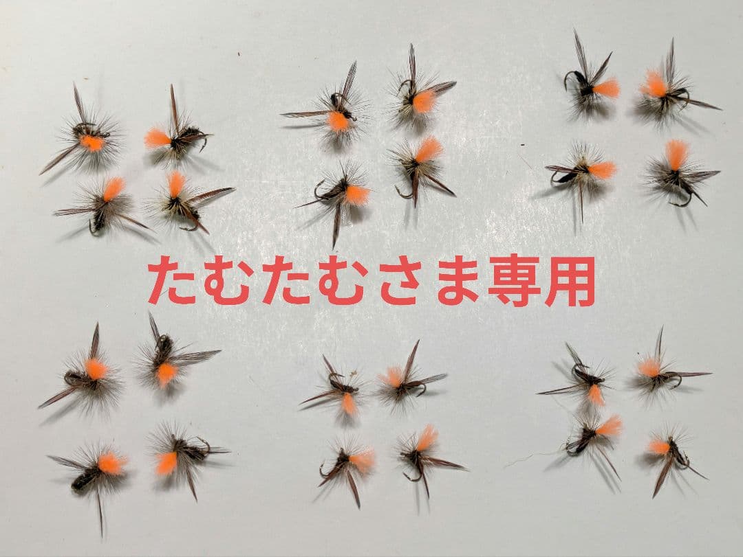 たむたむさま専用✳️ベンジョアブ