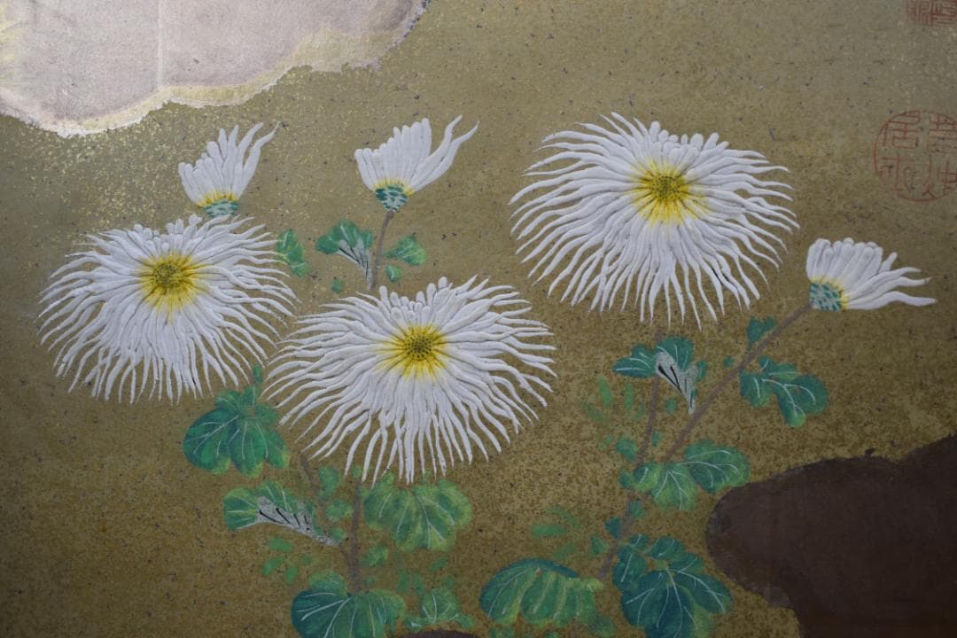 【模写】伊藤若冲/菊図/屏風ハガシ/六曲用マクリです/掛軸☆宝船☆Z-369