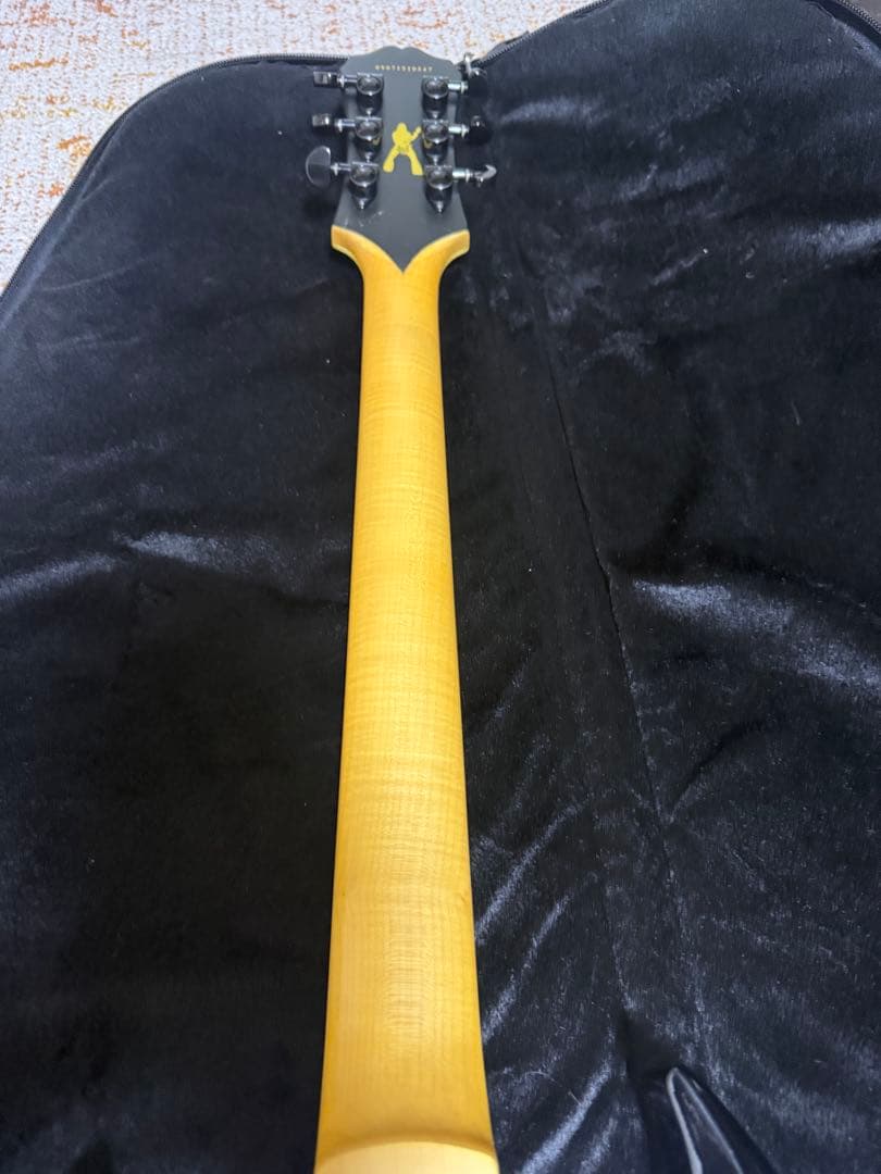 Epiphone Zakk Wylde ZV Custom エピフォン ザックV