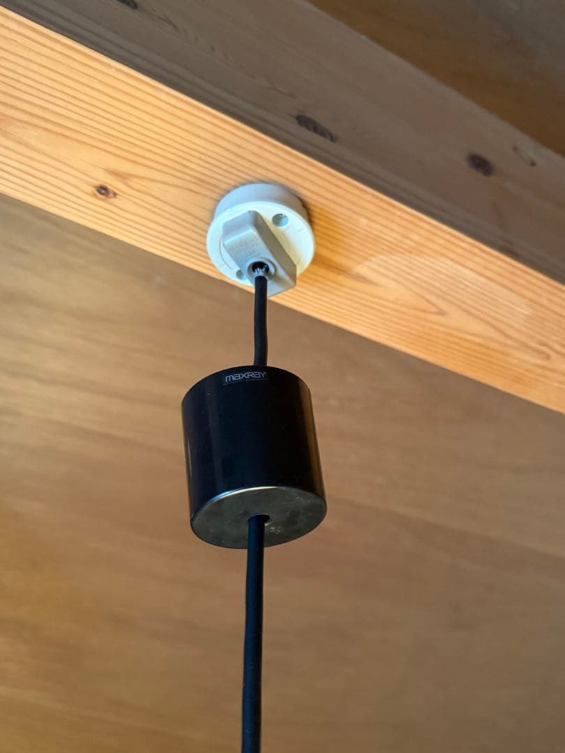 E&Y ポール・デイリー LOW YOYO 3連ライト