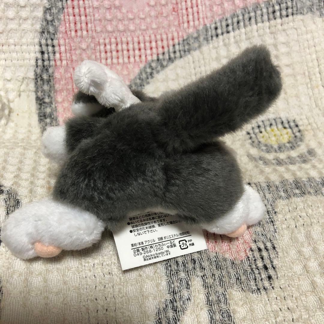 わちふぃーるど　Ansel litan 天使＆セキグチ　Marcy マスコット