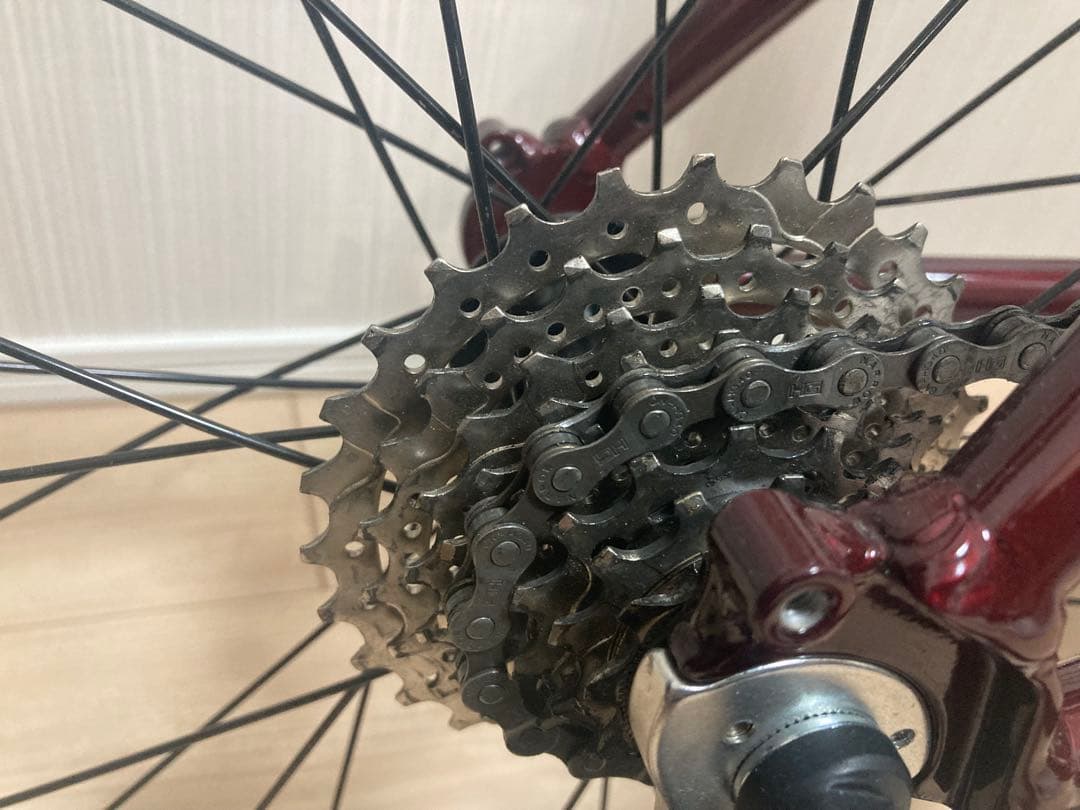 Tern Sage ミニベロ SHIMANO105ブレーキ　カーボンハンドル