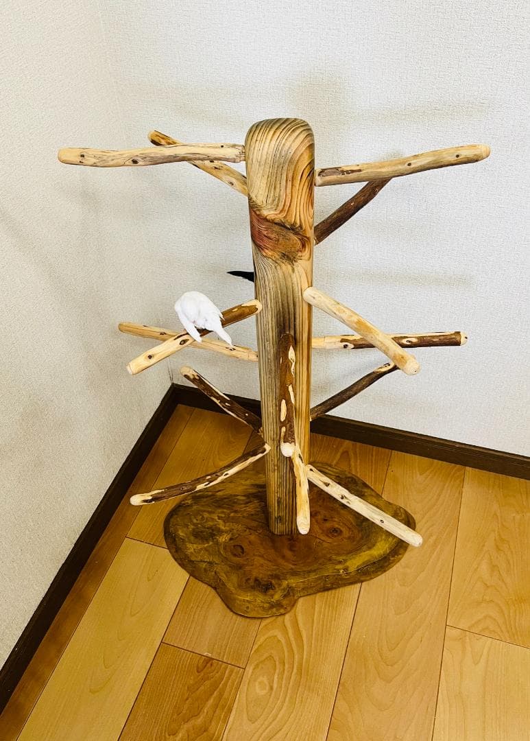 【中型鳥用】螺旋状♪ビビリさんにもすぃすぃ登れるバードスタンド