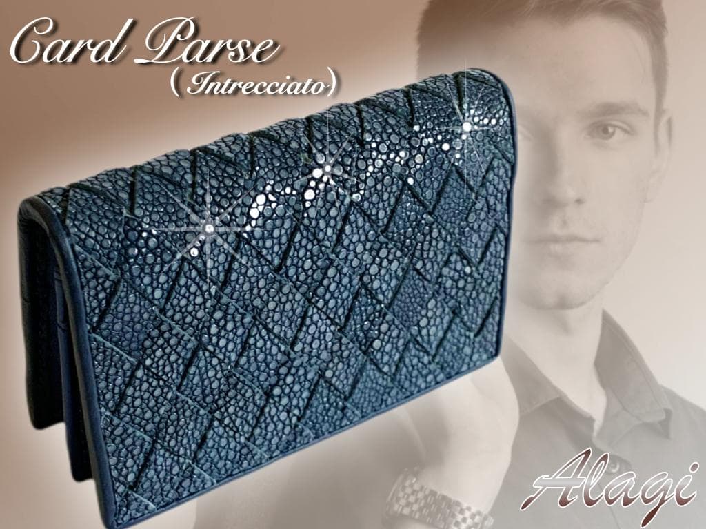 ☆まれ☆ガルーシャ　名刺入れ　イントレチャート加工　2点セット