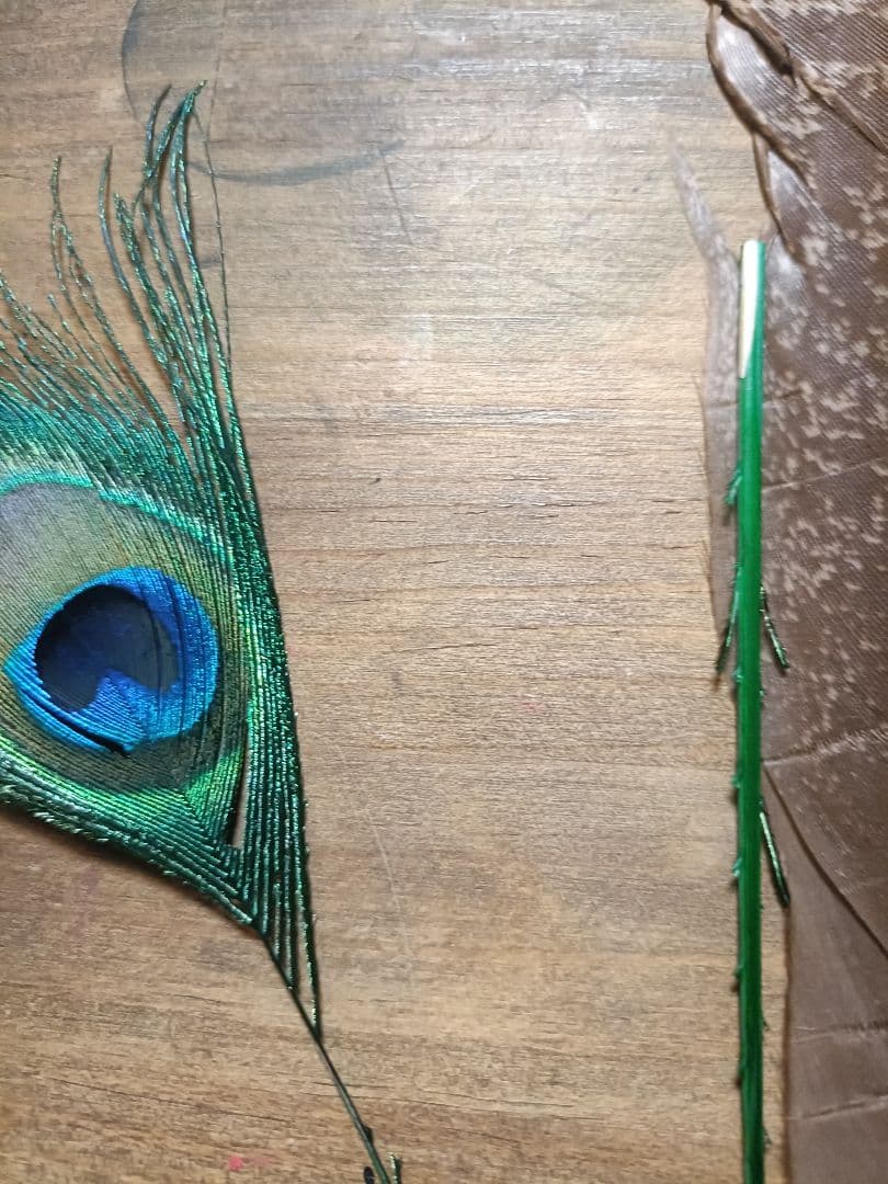 ​【希少】ゴールデンフェザント コンプリート ＆ ORVIS ピーコック セット