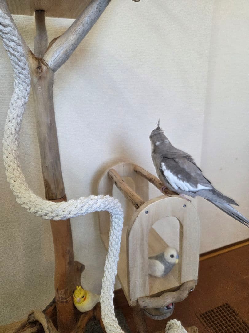 レア枝　バードアスレチック　3way　小型、中型用　流木　ハンドメイド