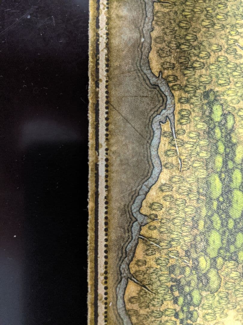 ストアチャンピオンシップ　『イクサラン』　チャンピオンプレイマット